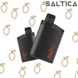 Saltica ENJOY 10000 Puff